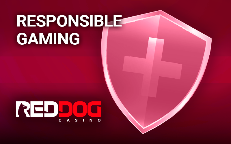 RedDog logo and thick-rimmed shield with a plus icon in it