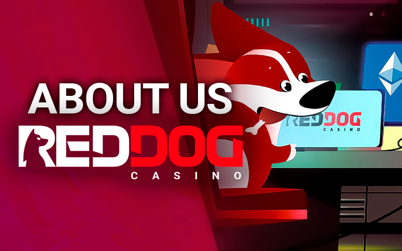 RedDog casino mascot at the computer