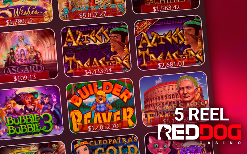 5 reel slots at Red Dog Casino