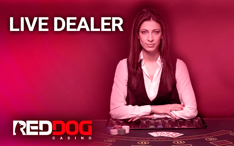 The RedDog logo and the girl in the croupier's shirt at the table