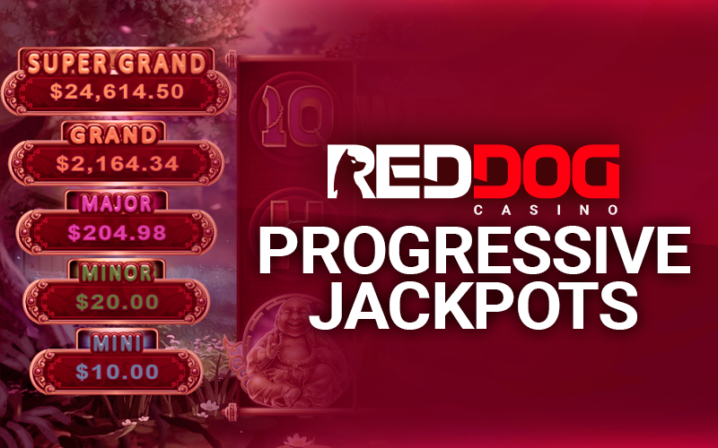 Image of the progressive jackpot from the gambling at Red Dog Casino