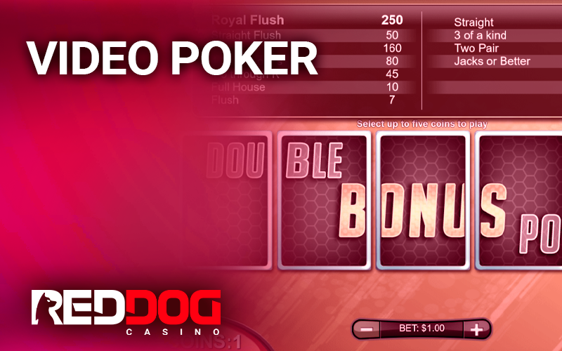 Video poker slot on the site Red Dog