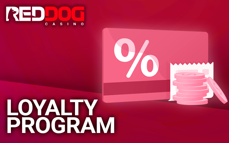 Loyalty program card on the Red Dog website
