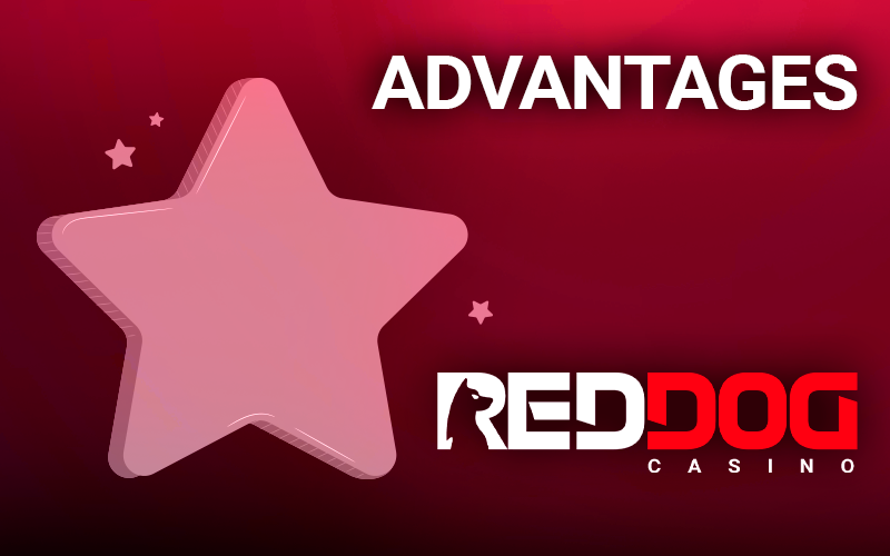 RedDog logo and star icon with little stars next to it