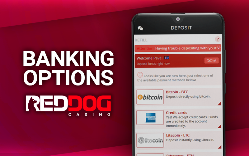 Red Dog account recharge page on your cell phone