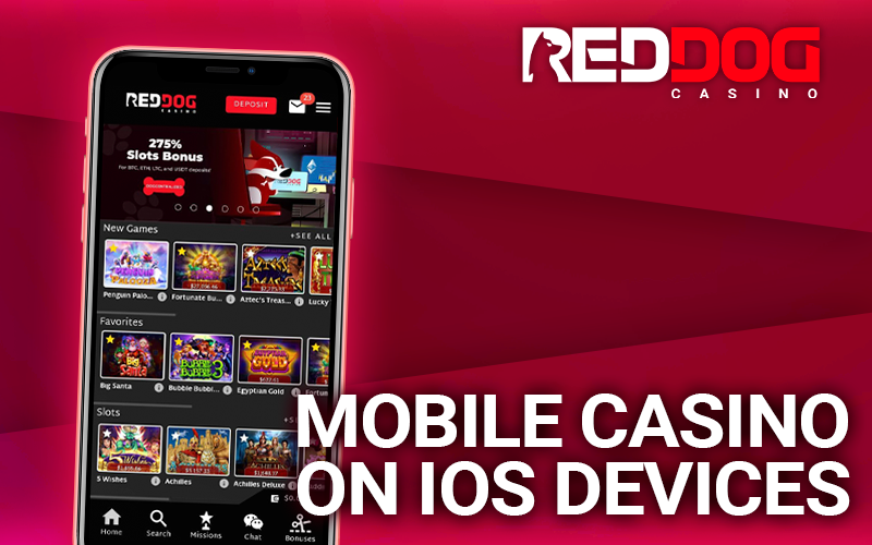 iPhone with an open Red Dog Casino website