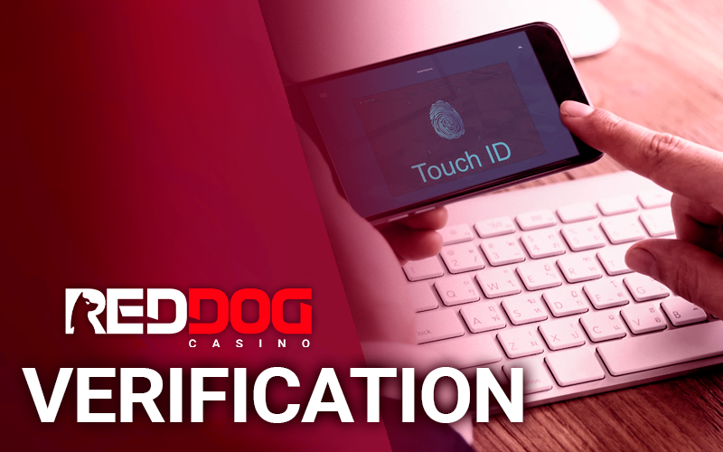 Phone in hand with the verification process running at Red Dog Casino