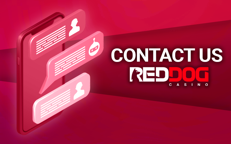 Phone with open support chat at Red Dog