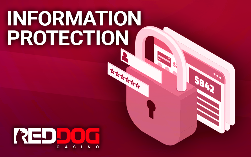 Information data under the protection of a strong password and lock at Red Dog Casino
