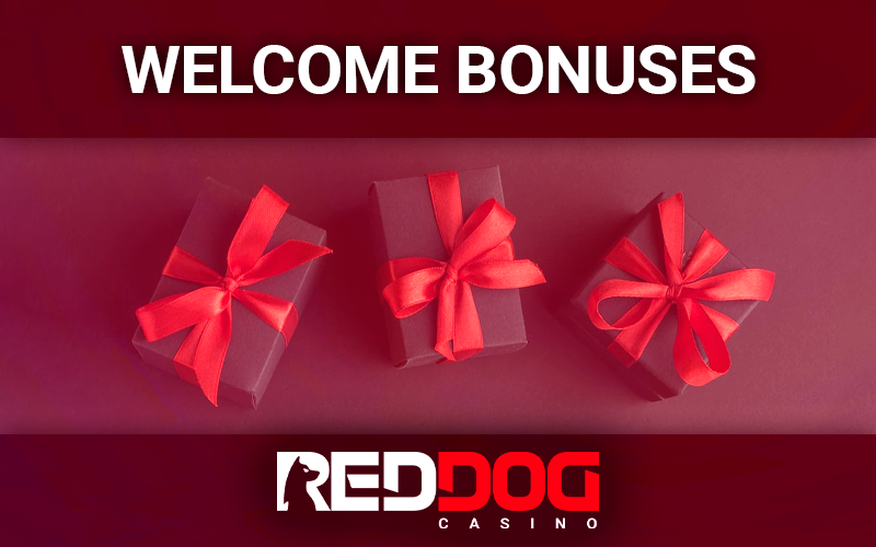 Three gift boxes for the site RedDog