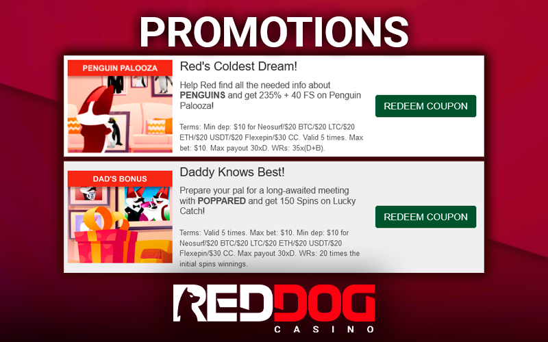 RedDog Casino Promotions offers