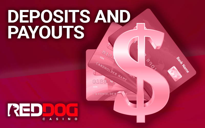 Bank cards with a dollar icon and Red Dog logo