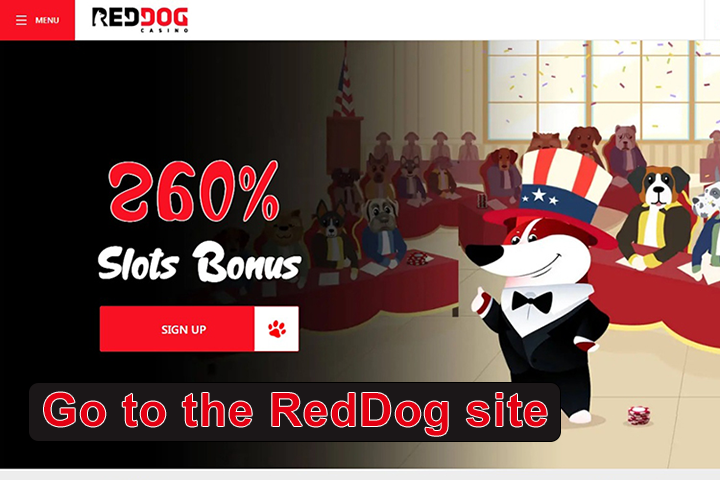 a dog in a hat with an American flag at official site RedDog