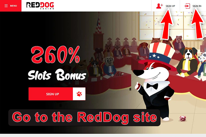 drawn dog in a suit and hat, red arrow on buttons 'sign up' and 'sign in' at Red Dog