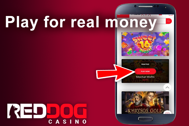 Red Dog Casino lobby usage app from the about us page on mobile cell phone, red arrow on practice button