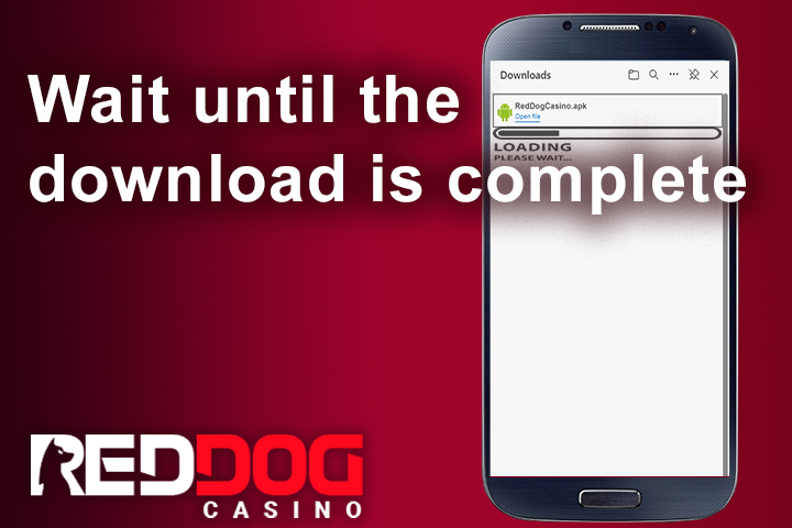 downloading the Red Dog Casino app to phone