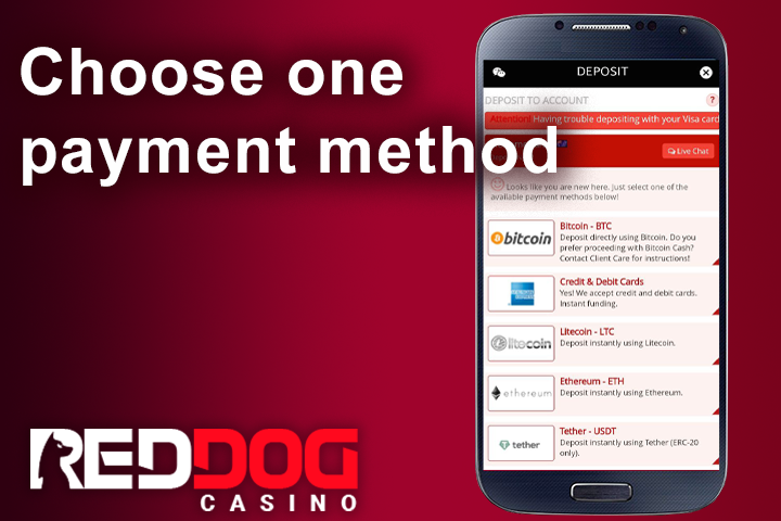 Red Dog Casino lobby usage app from the about us page on mobile cell phone, deposit preparation